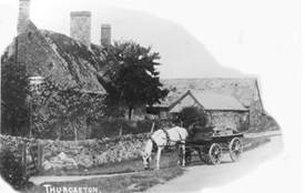 Description: Description: Bybrook%20Postcard%20with%20horse%20small